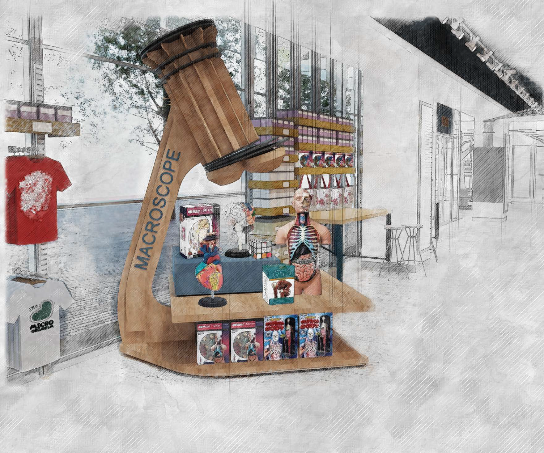 Concept rendering — the giant timber Macroscope anchoring the science display